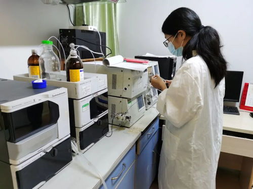 鄉(xiāng)村振興 高要 加強農(nóng)業(yè)科技創(chuàng)新,推動現(xiàn)代農(nóng)業(yè)發(fā)展